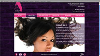 <strong>Zabel Hair</strong> offers high quality virgin hair extensions. Their hair is obtained from different parts of the world and it is soft and tangle free. We were contacted to provide <strong>Logo Re-Design, Web Design, SEO & Web Marketing.</strong> 